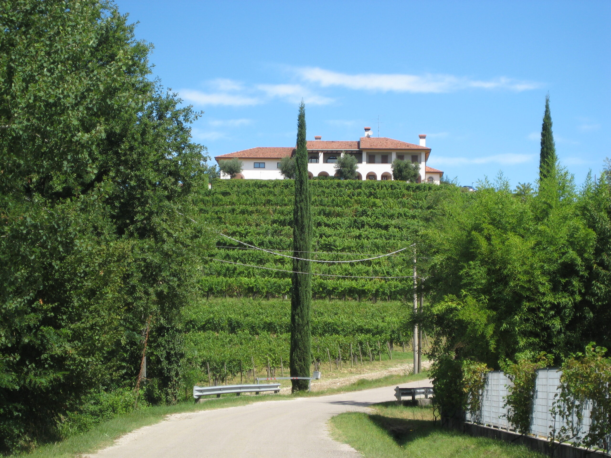 Vini d’eccellenza dell’Azienda Vinicola Cantarutti Alfieri, nei Colli Orientali del Friuli