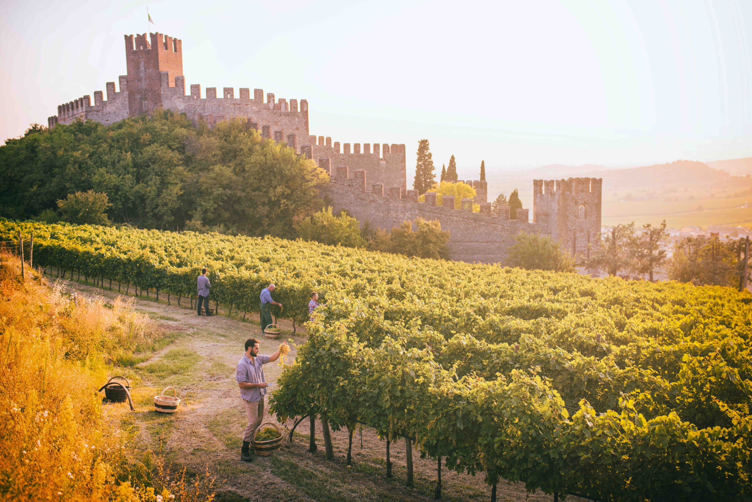 Appuntamento Soave  