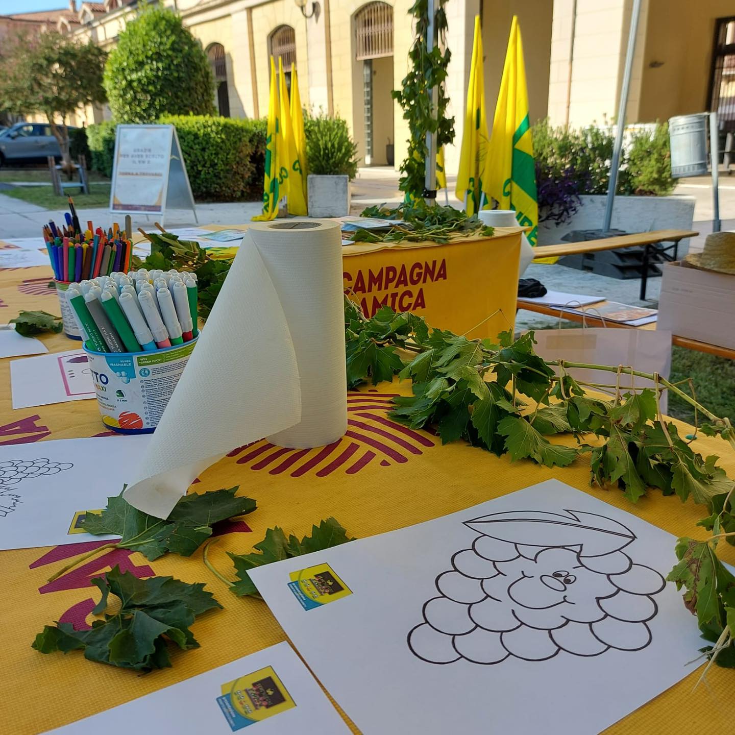 E’ tempo di vendemmia