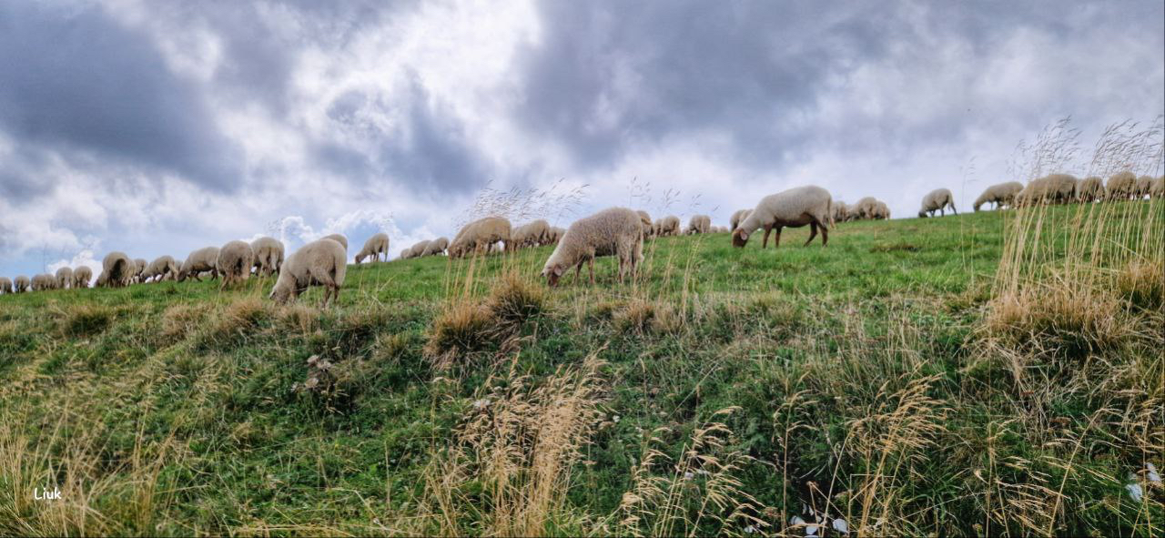 Il Parco Naturale Regionale della Lessinia a Fieracavalli