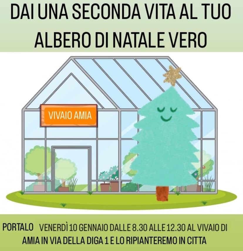 “DONA UNA SECONDA VITA AL TUO ALBERO DI NATALE: REGALALO AL COMUNE”